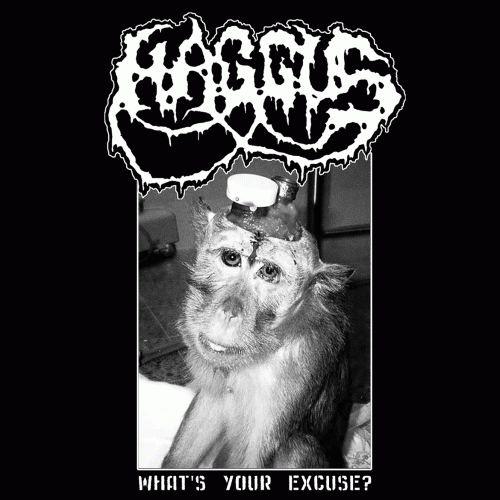 Haggus : What's Your Excuse?